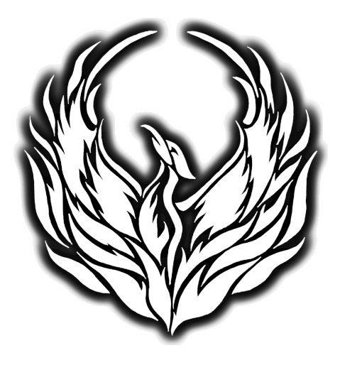 Delphi Enterprises, LLC logo